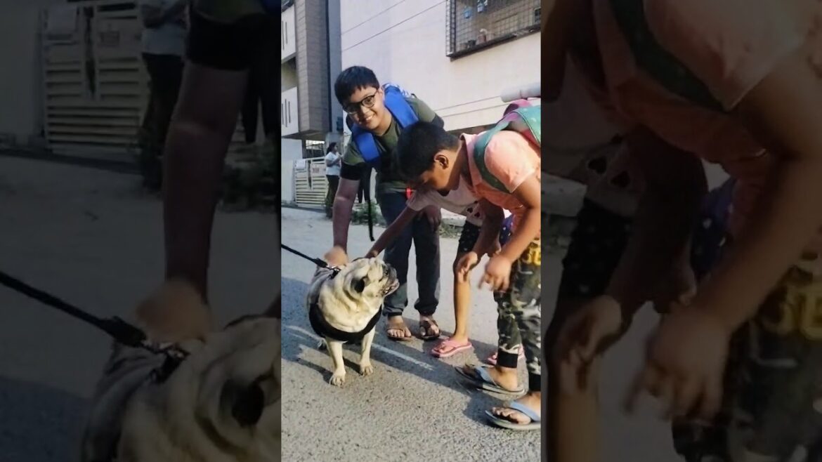 #gardening  #plants #dog  #darshvlogs  #shorts