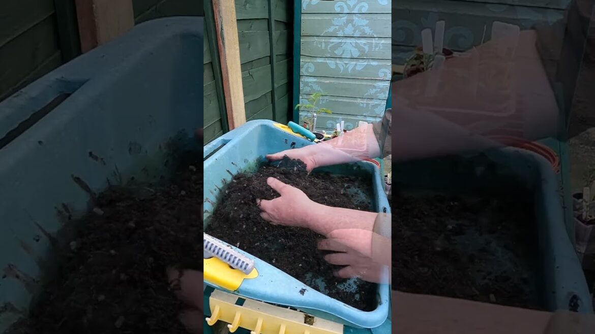 GARDENING TIPS | The EASY WAY to REVIVE OLD COMPOST | Garden Ideas | #short #allotmentgarden GARDENING TIPS | The EASY WAY to REVIVE OLD COMPOST | Garden Ideas | #short #allotmentgarden