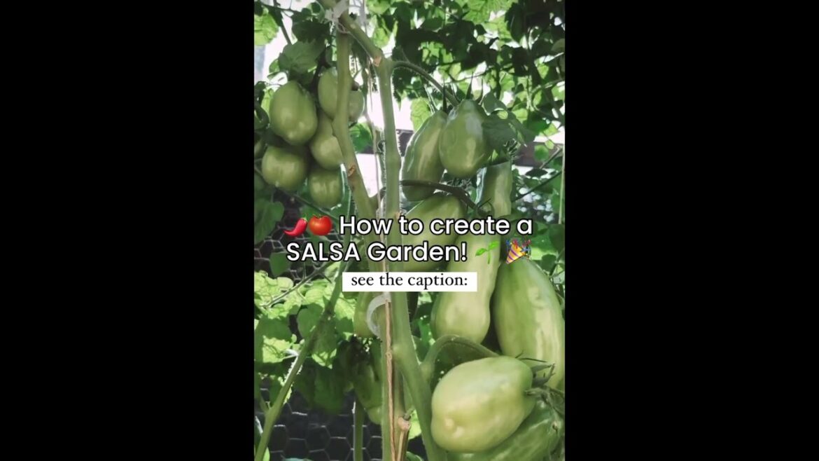 🌶🍅 Create a SALSA Garden! 🌱🎉 + my absolute fav recipe  #garden #gardener #gardening #gardeningtips
