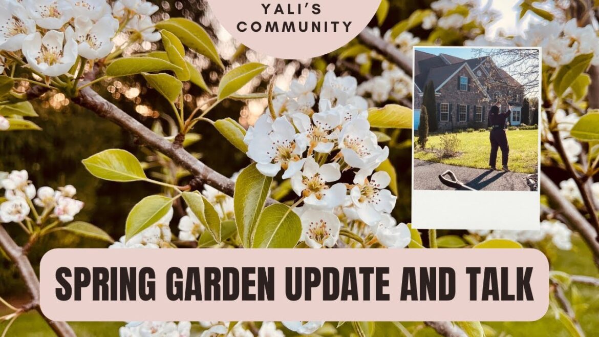 Spring Garden Perennial Edible Garden Update and Garden Talk with lots of Garden Tips. Garden zone 7