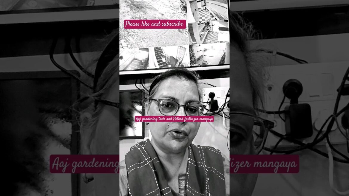 Aaj Gardening tools and Potash fertilizer mangaya plants ke liye #shorts #viral  #short #trending