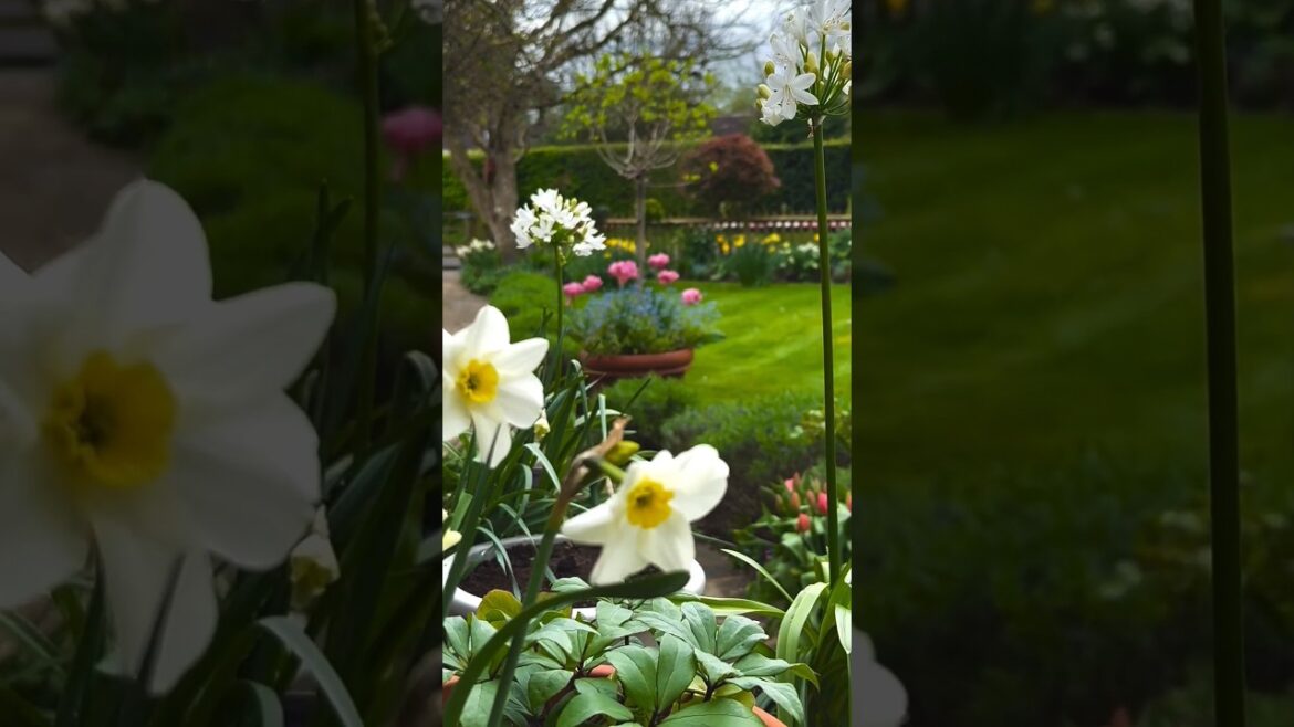 Spring works its magic daily, turning dull landscapes into vibrant scenes of life and color. #spring