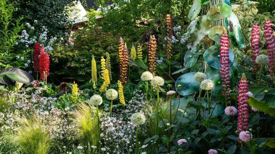 Chelsea Flower Show 2024: Best in the gardens #chelseaflowershow #gardenideas #rhsbridgewater #viral