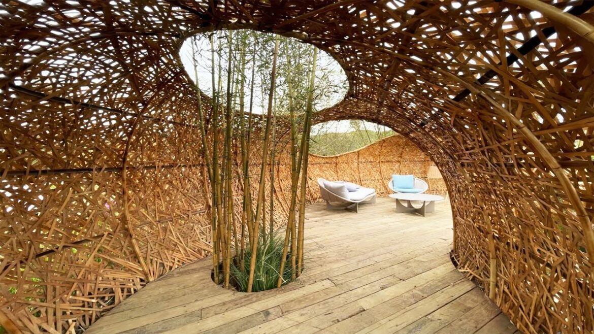 Beautiful garden ideas: Our garden at night #chelseaflowershow #gardenideas #rhsbridgewater #viral