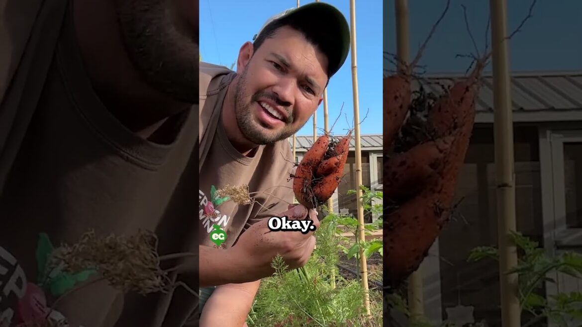 I learned to garden for these harvests...