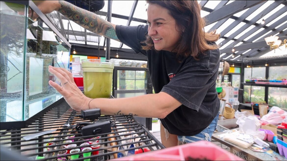 Roots and Refuge Farm: These fish may help my farm! (The greenhouse fishtank) | VLOG These fish may help my farm! (The greenhouse fishtank) | VLOG
