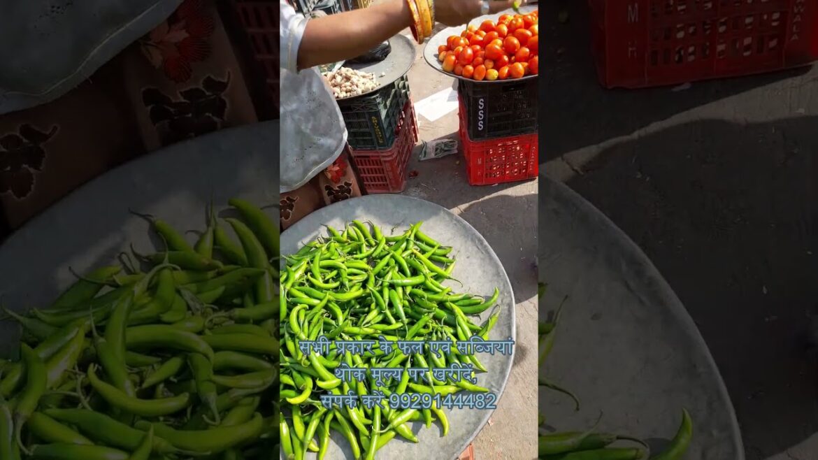 Wholesale vegetable price  #viral #shortvideo