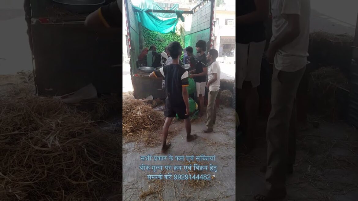 Buy and sale fruits & vegetables wholesale - Tender Coconut