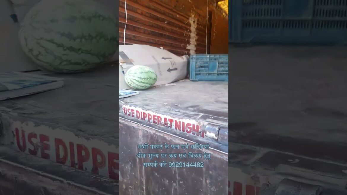 Buy and sale fruits & vegetables wholesale – Watermelon ( Tarbuj) Buy and sale fruits & vegetables wholesale - Watermelon ( Tarbuj)