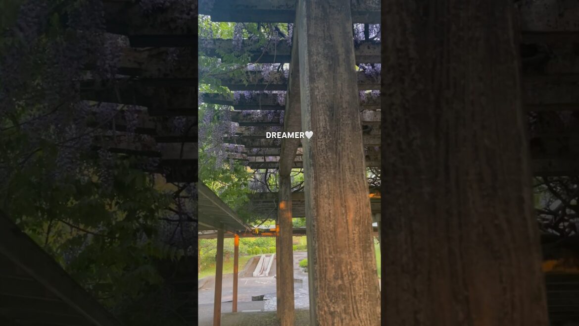 beautiful japanese garden tour in 30sec #japan #nature #youtubeshorts