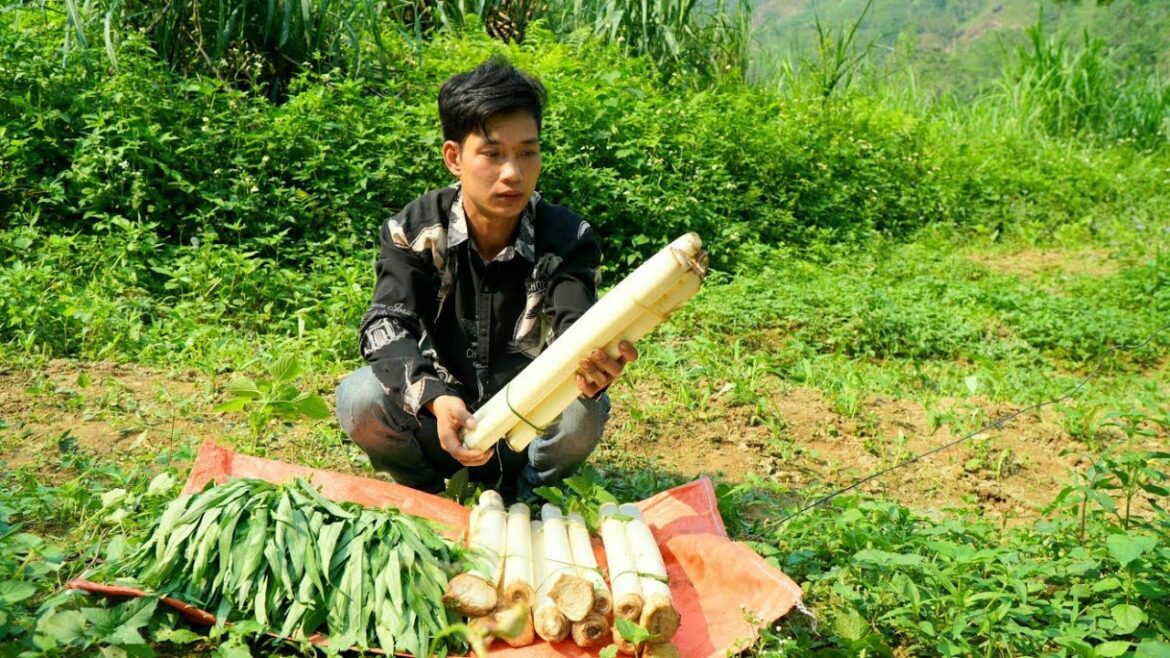 Harvesting wild banana cores and water spinach for sale - Vegetable gardening | Triệu Văn Tính