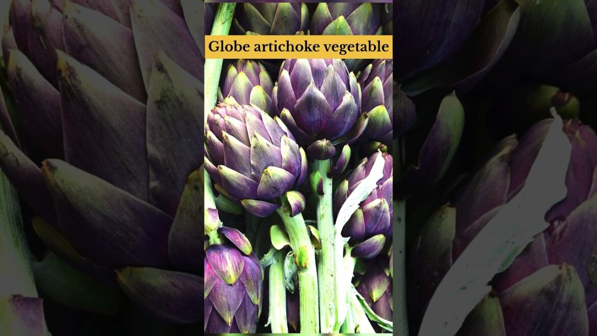 Flower bud vegetable😲Globe artichoke #telugu #trending #shorts #viral