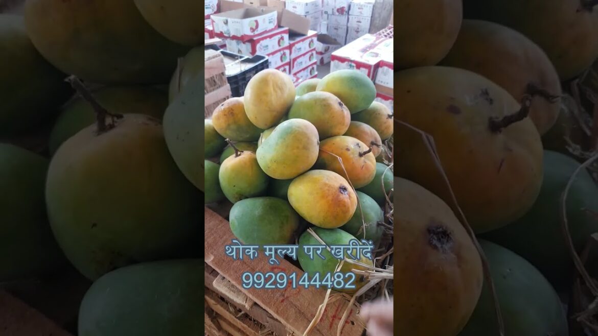 Mandi wholesale Bhav #viral #shortvideo Mandi wholesale Bhav #viral #shortvideo
