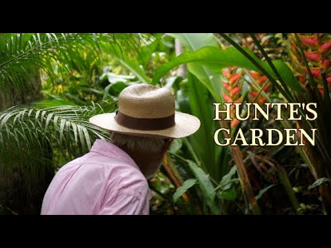 Hunte’s Gardens Barbados Tour with anthony Hunte – Documentary trailer – Tropical Garden Design π΄πΊ Hunte's Gardens Barbados Tour with anthony Hunte - Documentary trailer - Tropical Garden Design π΄πΊ