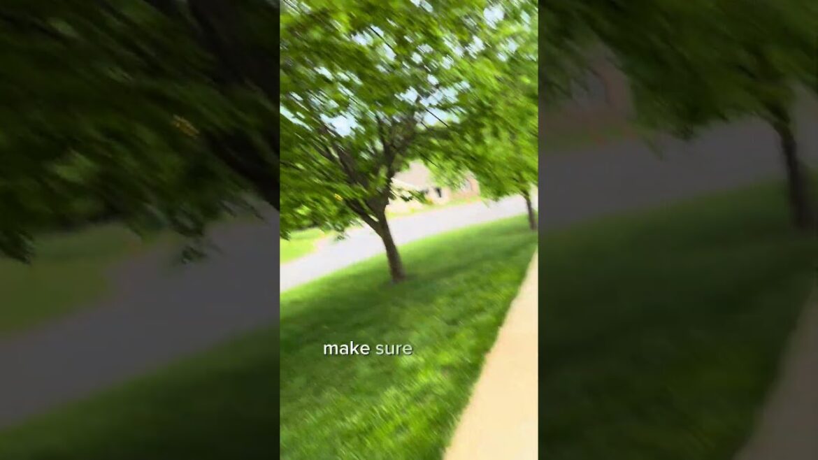 I Made a HUGE Landscaping MISTAKE! #shorts  #garden #gardening