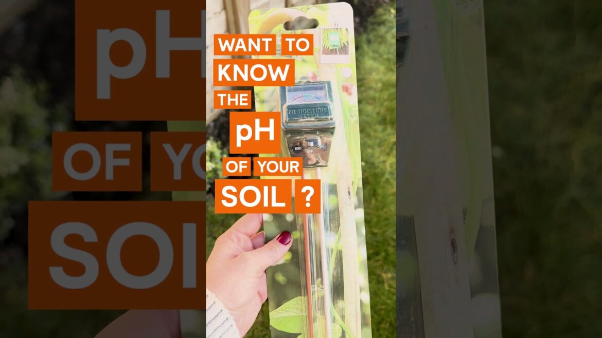 Gardening tips: How to measure soil pH #DIYtips #Howto #BandQ Gardening tips: How to measure soil pH #DIYtips #Howto #BandQ