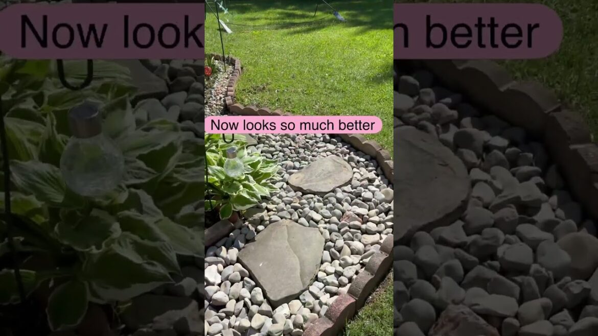DIY FRONT YARD LANDSCAPE BEFORE AND AFTER RESTORATION