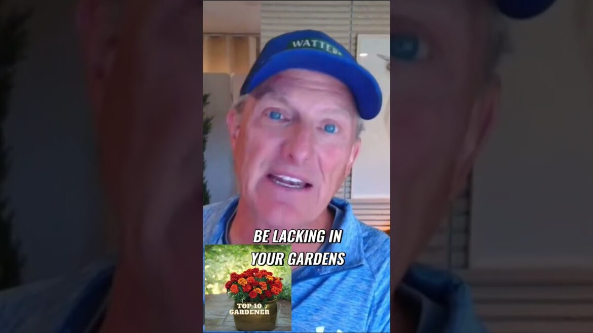 The Importance of Calcium for Flavor and Fruit Growth The Importance of Calcium for Flavor and Fruit Growth