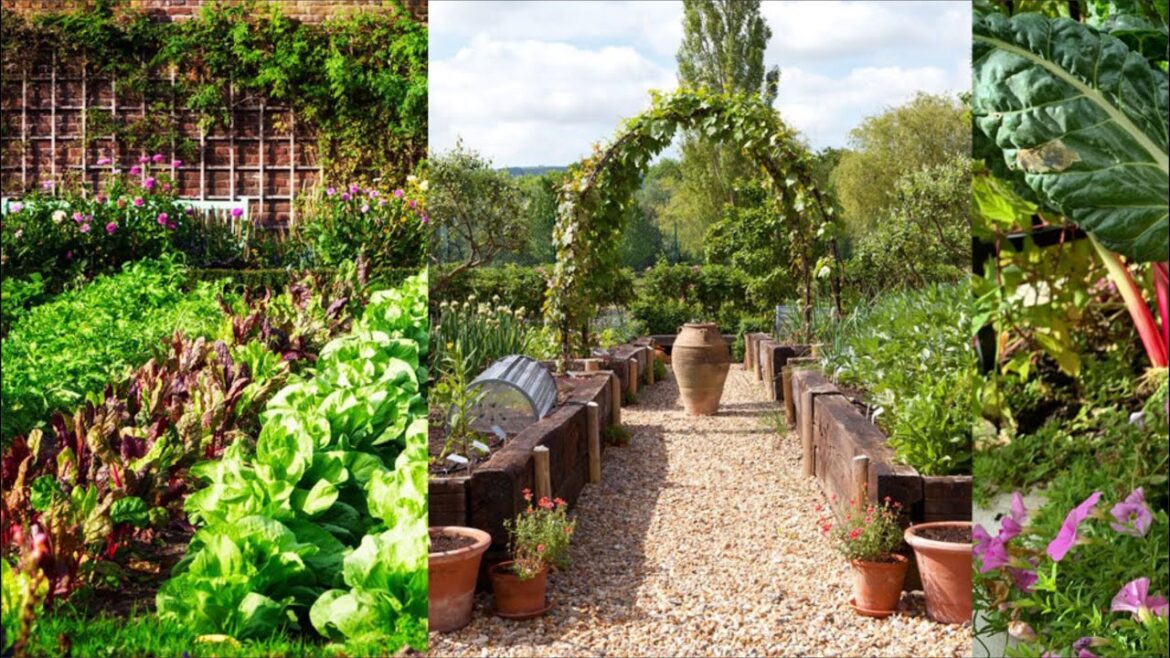 Front Yard Vegetable Garden Design l Front Yard Design Ideas