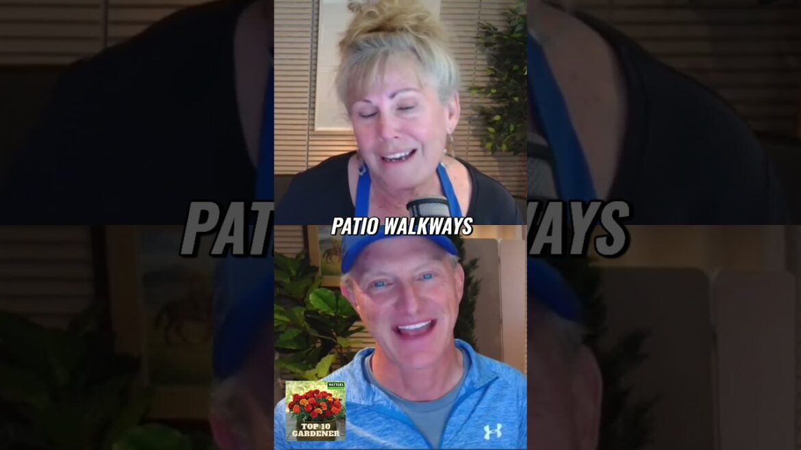 The Dangers of Overgrown Shrubs