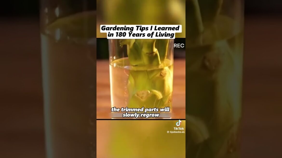 Garden Tips that have been around over 180 years.