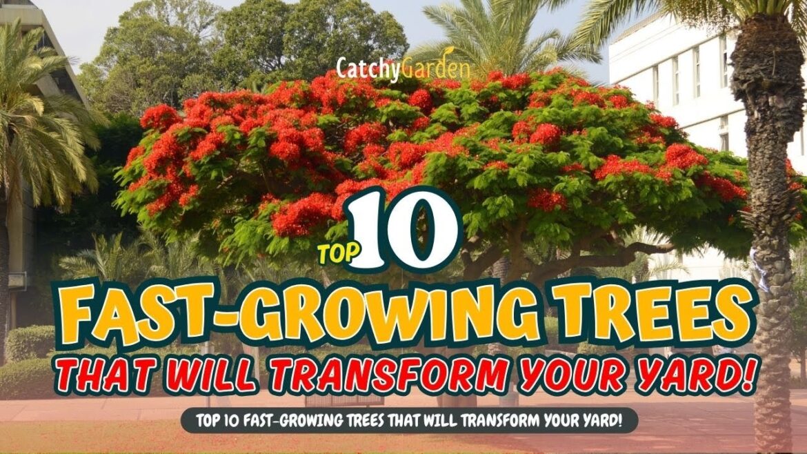 TOP 10 FAST-GROWING TREES That Will TRANSFORM Your Yard!🌱🚀🌳 // Gardening Ideas