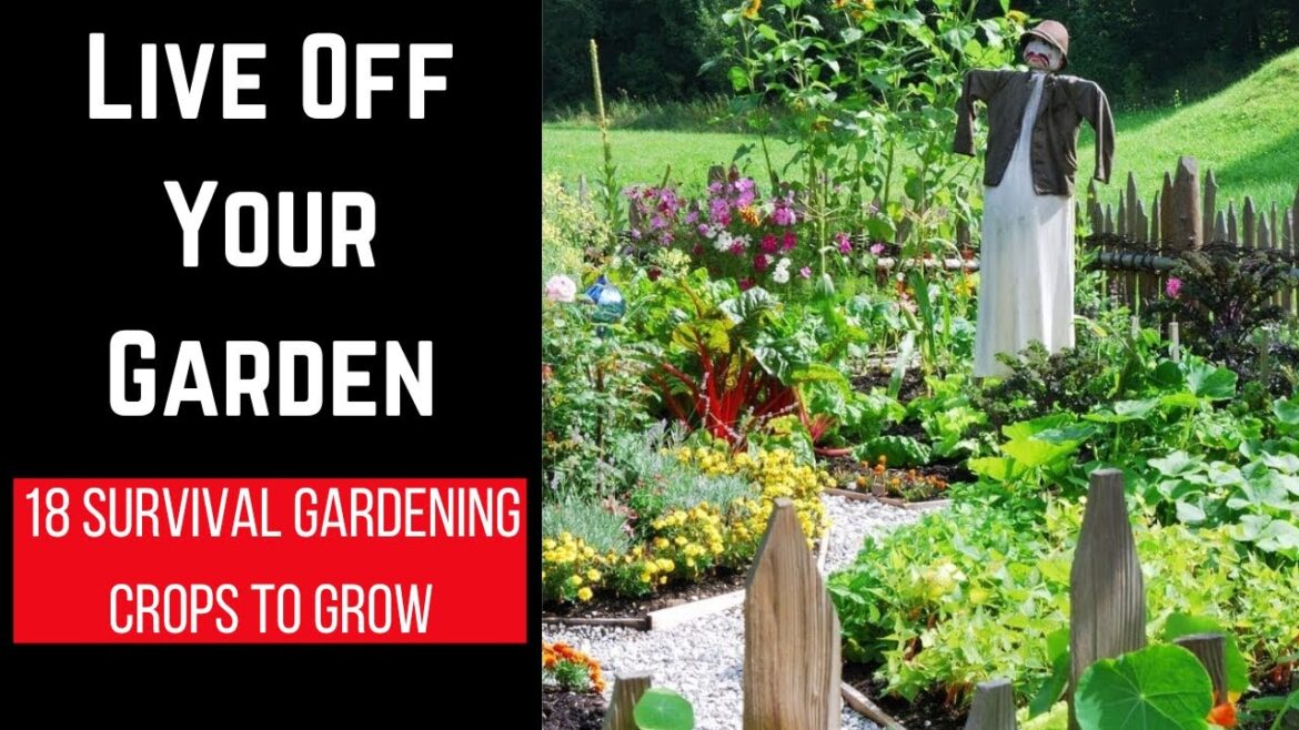 18 Survival Gardening Crops To Grow - When Times Get Rough, You Can Turn To Your Survival Garden