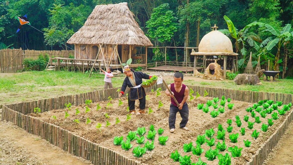 Dwarf Family | Renovating The Vegetable Garden | Make a Handmade Swing | Survive In The Wild. Dwarf Family | Renovating The Vegetable Garden | Make a Handmade Swing | Survive In The Wild.