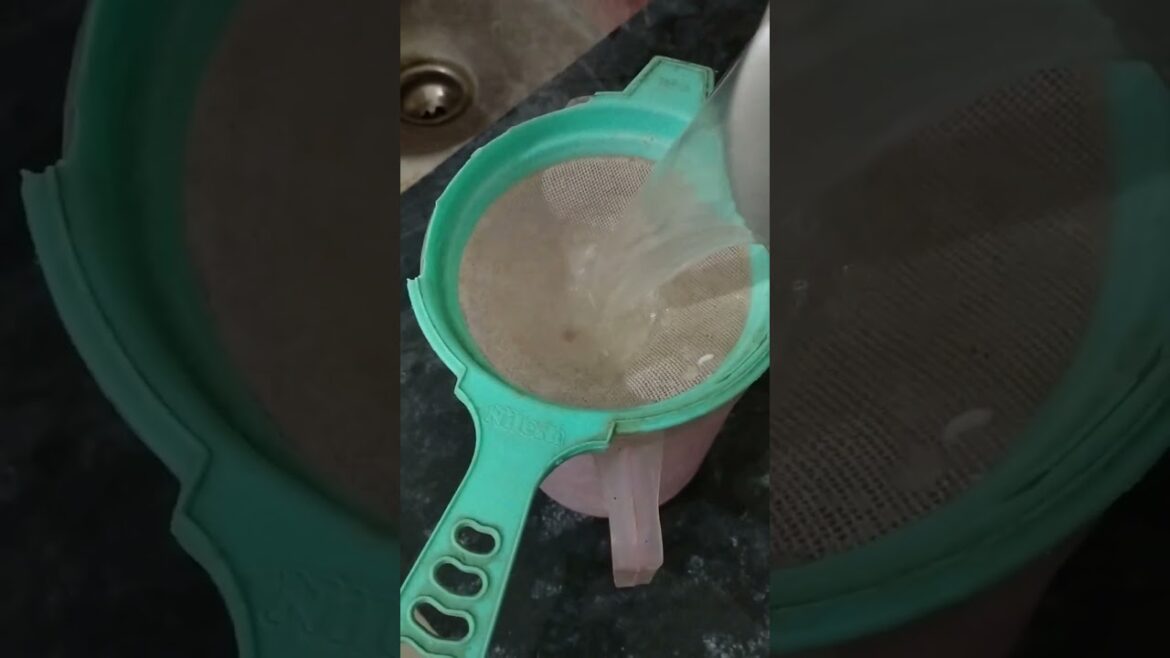 #gardeningtips           #gardeningwork #energyboosters