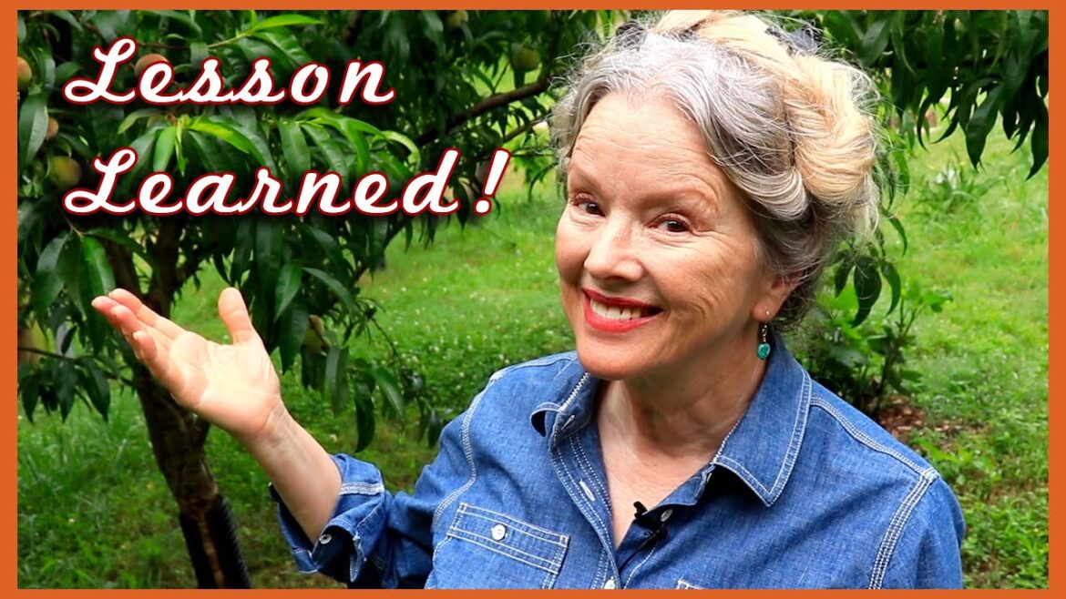 Kaye Kittrell: Raised Bed FAIL + Mini Garden Tour Raised Bed FAIL + Mini Garden Tour