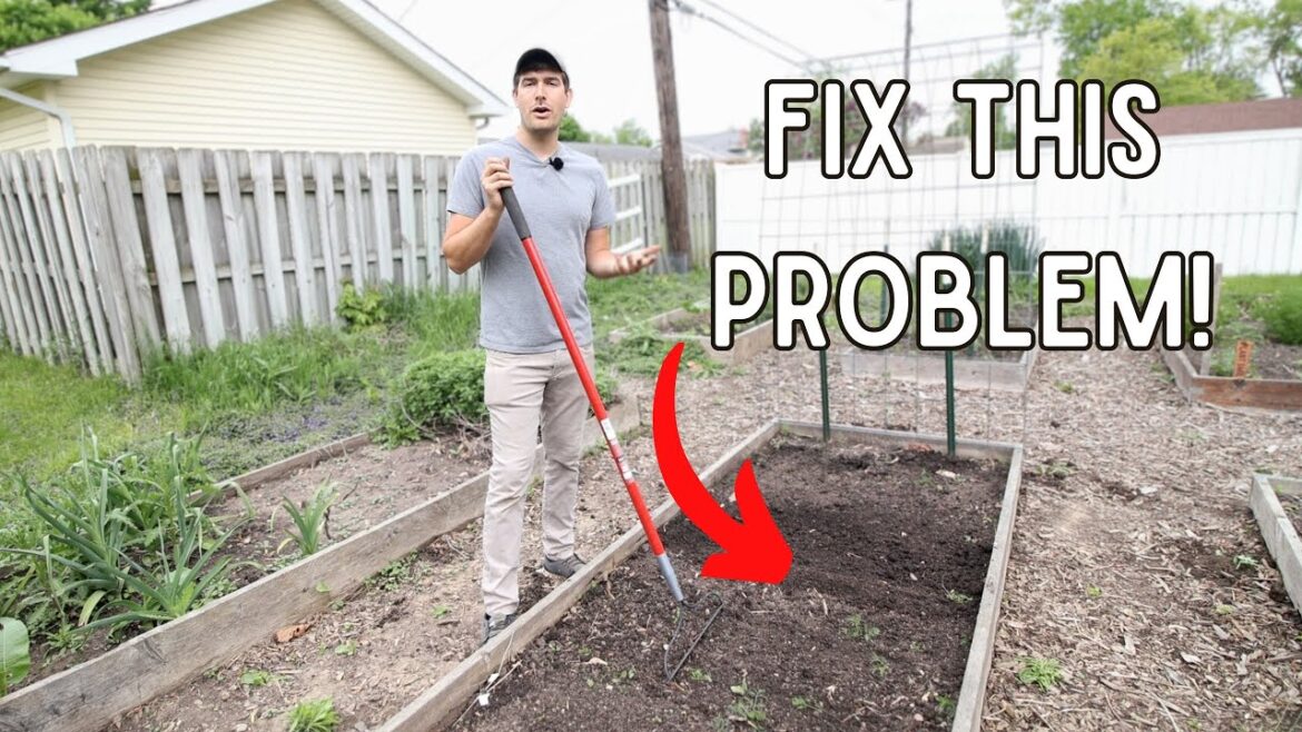 Have a GREAT Garden Even With Compacted Soil