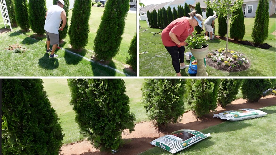 CONNECTING THE GARDENS//PLANTING SUMMER CONTAINERS CONNECTING THE GARDENS//PLANTING SUMMER CONTAINERS