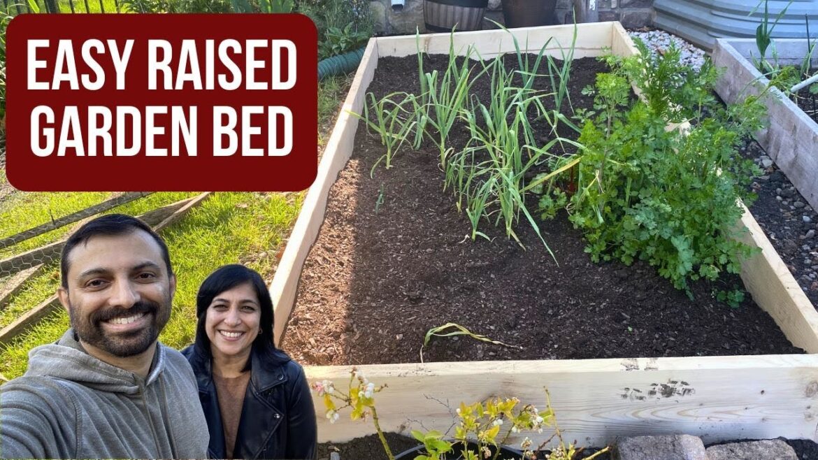 Easy Raised Garden Bed DIY| Vegetable Gardening| Small Kitchen Garden Ideas| Vegetable Bed DIY Easy Raised Garden Bed DIY| Vegetable Gardening| Small Kitchen Garden Ideas| Vegetable Bed DIY