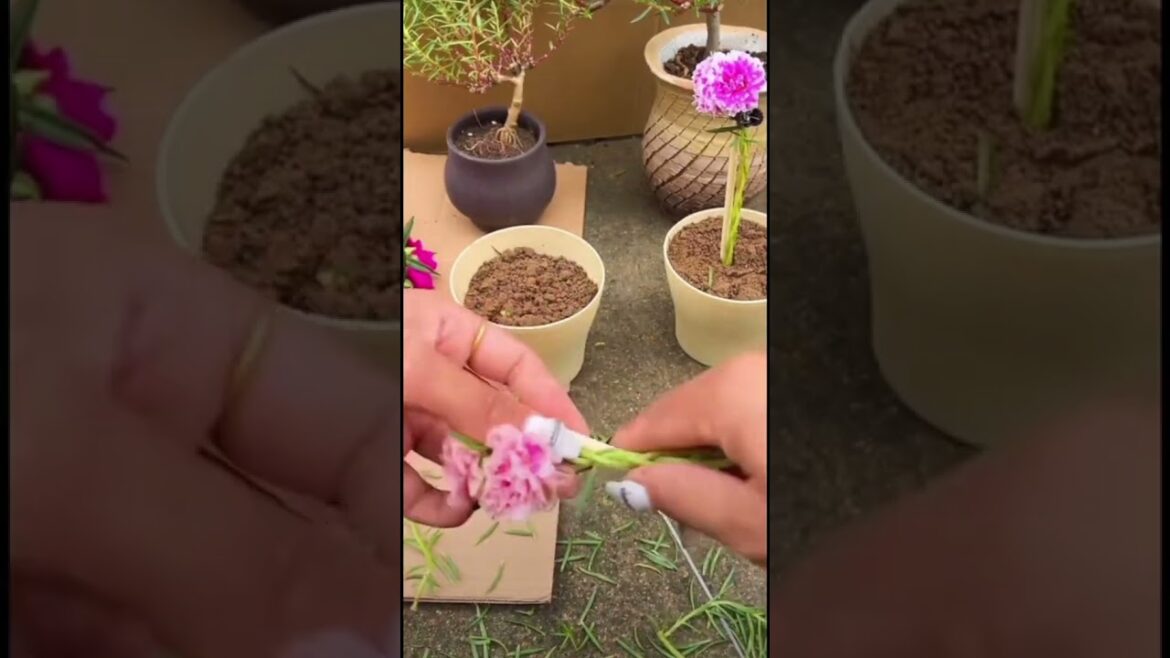 Gardening Improvement tips|Green land #garden #greentgarden #satisfying Gardening Improvement tips|Green land #garden #greentgarden #satisfying