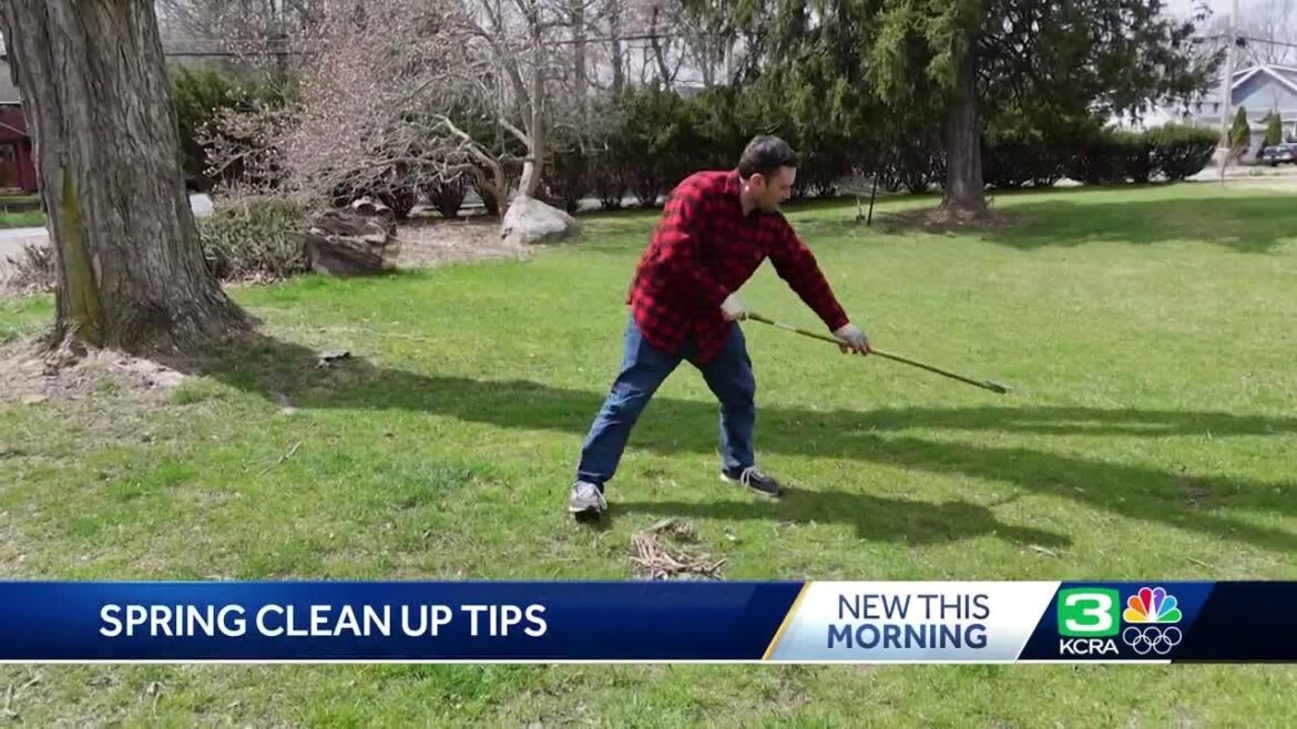 Consumer Reports: Spring yard and garden tips Consumer Reports: Spring yard and garden tips