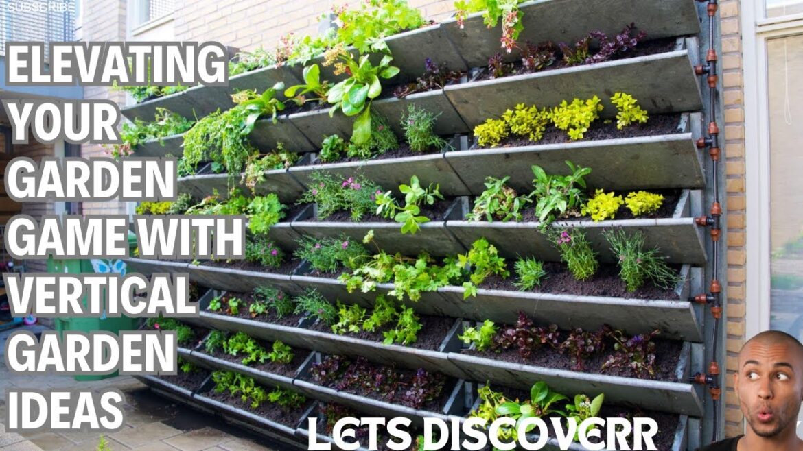 Elevating Your Garden Game with Vertical Garden Ideas - From Living Walls to Towering Green Spaces