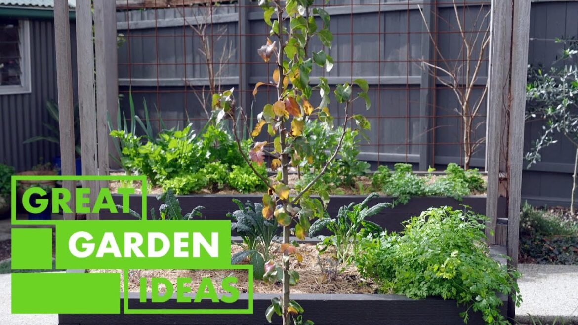 Family Backyard Makeover | GARDEN | Great Home Ideas Family Backyard Makeover | GARDEN | Great Home Ideas
