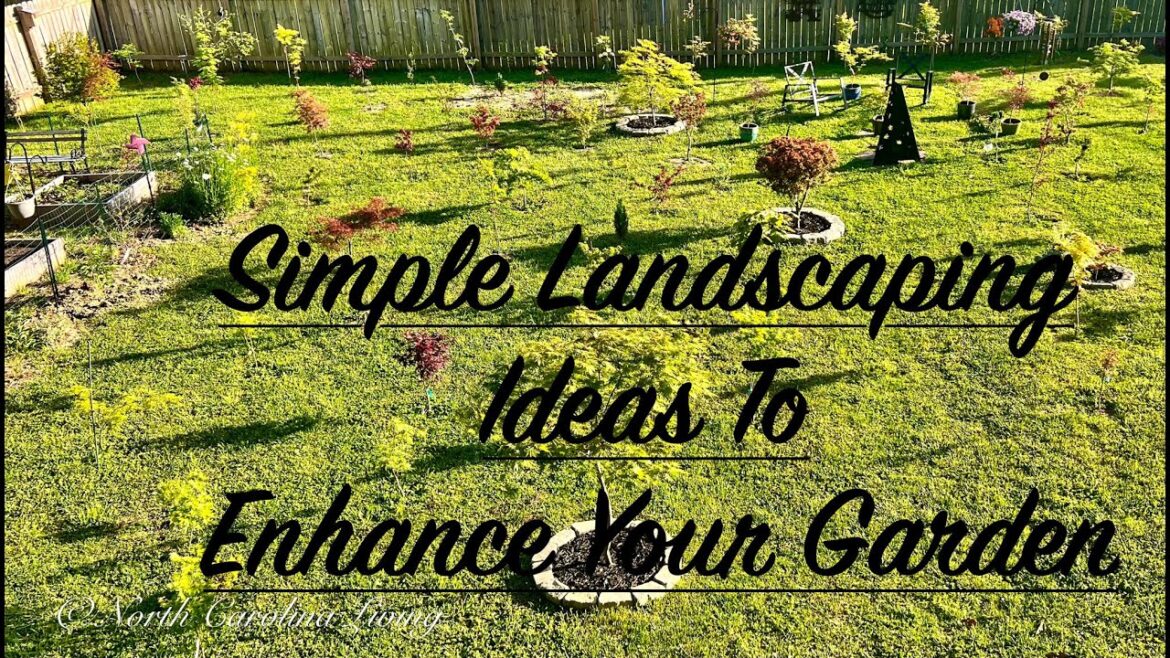 Gardening With Japanese Maples ~ Simple Landscaping Ideas That Enhance Your Garden Gardening With Japanese Maples ~ Simple Landscaping Ideas That Enhance Your Garden