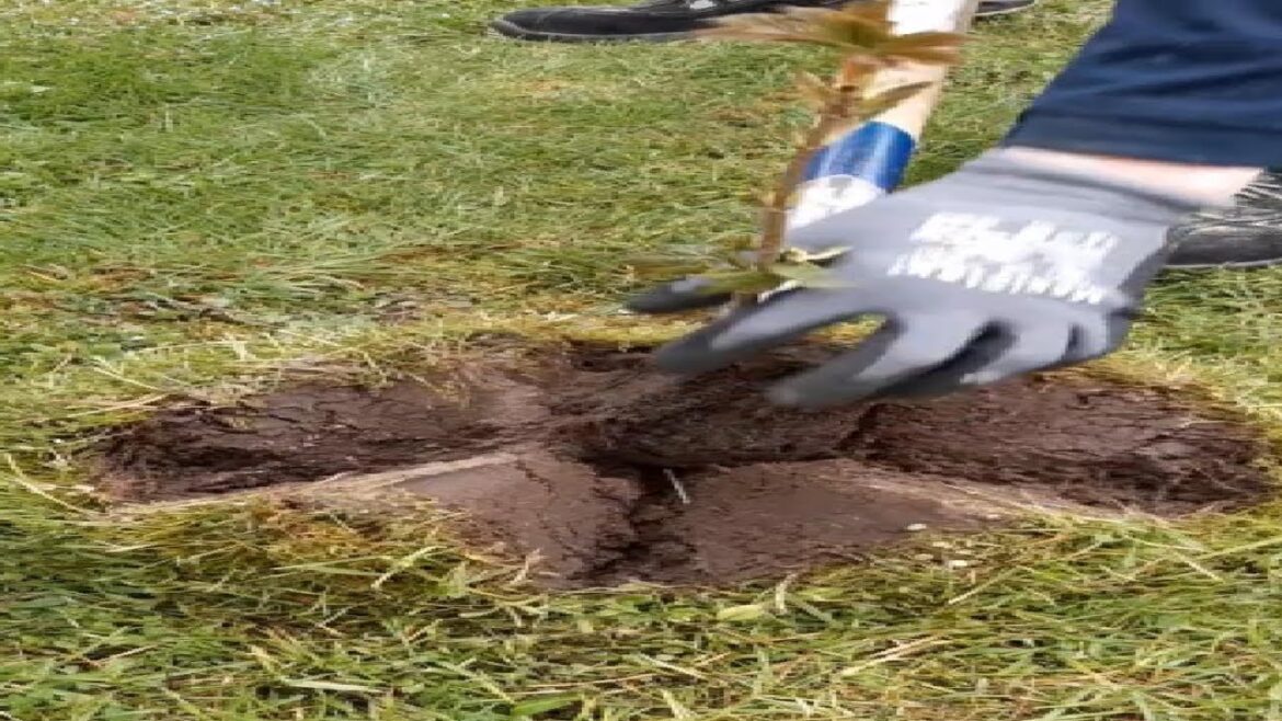 an easy and quick gardening tip