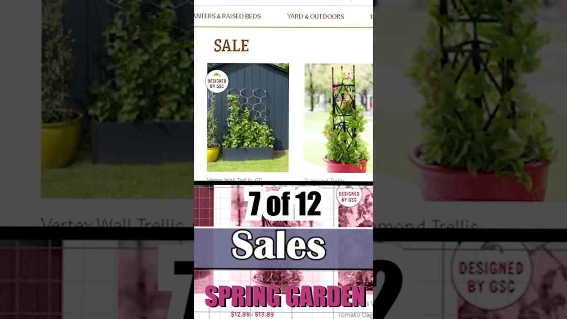 Getting ready for my SPRING GARDEN – Garden Sales #shorts Getting ready for my SPRING GARDEN - Garden Sales #shorts