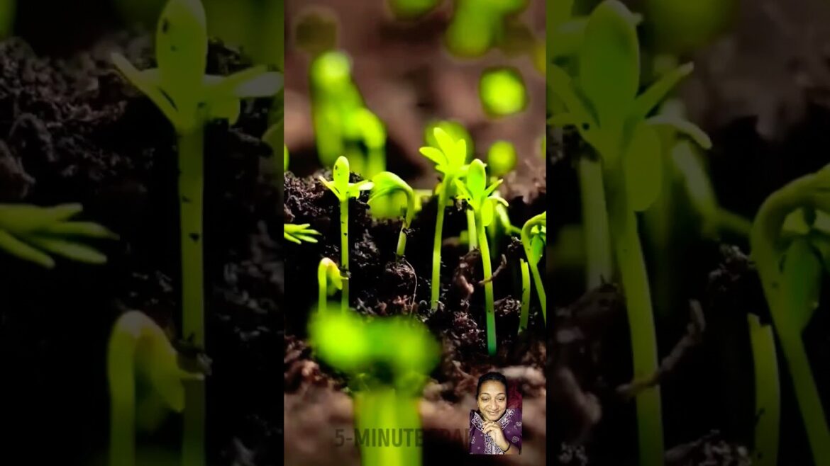 💠🧑‍🌾🌱 Garden Hacks 101! Simple Tips to Unlock your Inner Gardener #diy #garden #flowers #gardening ✅