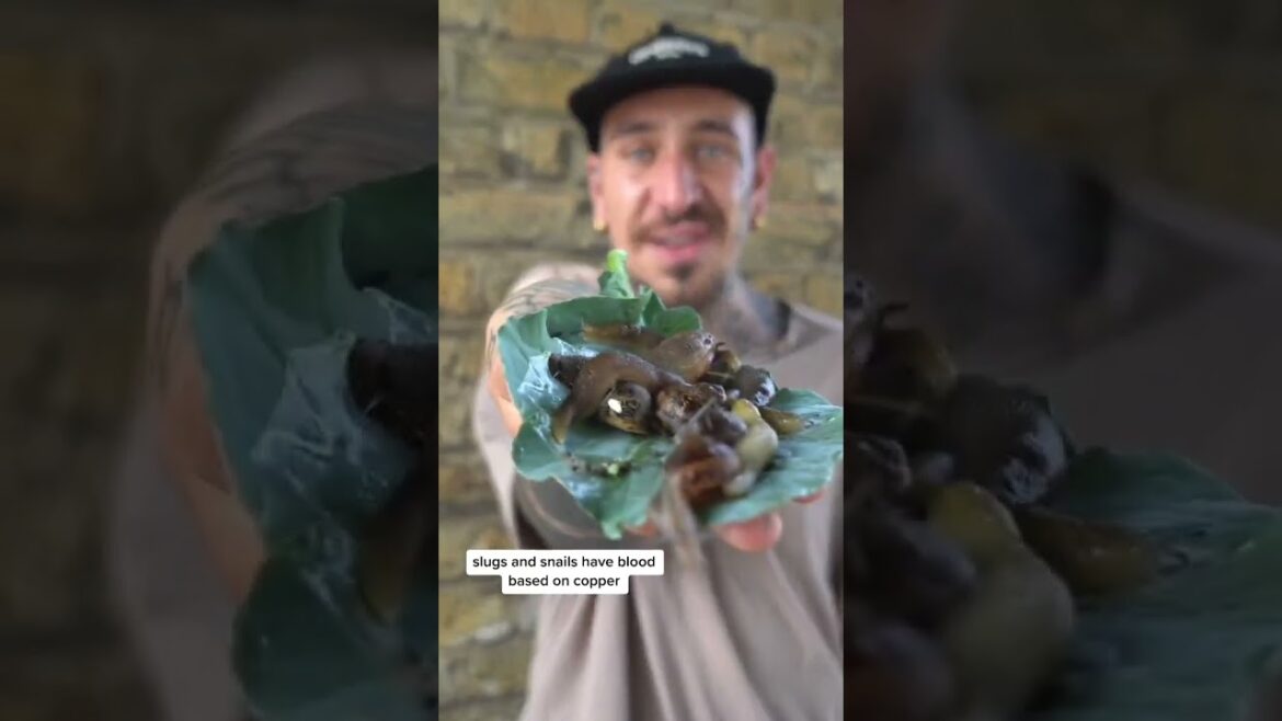 Gardening Tips Ecofriendly - Plant Gardener