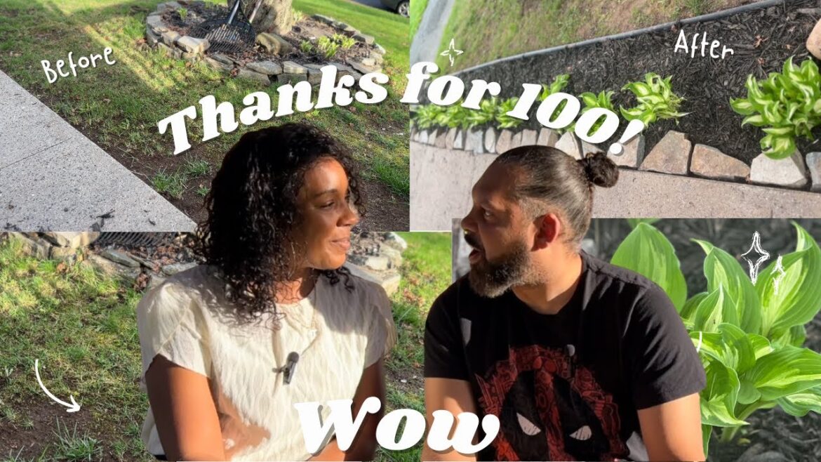 Landscaping Idea for the Front Yard/ Outdoor Plant Propagation /100 subscribers!