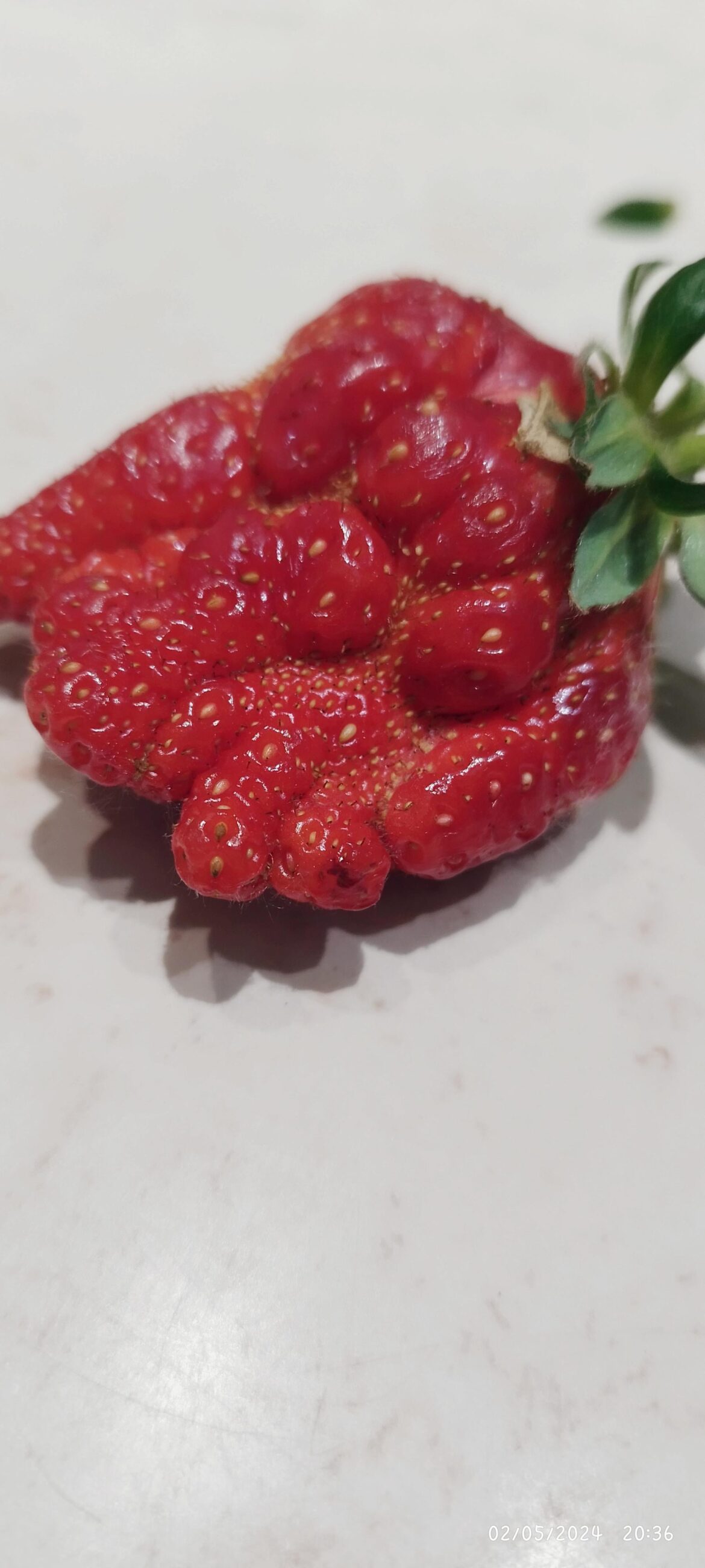 STRAWBEREY