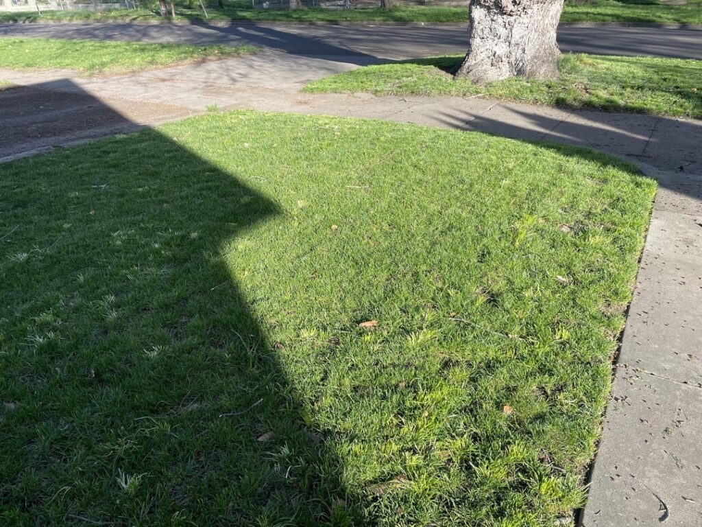 Progress pics and need suggestions for hose end sprayer!