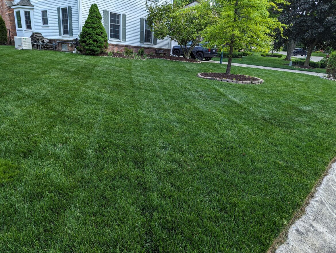 April Showers in May