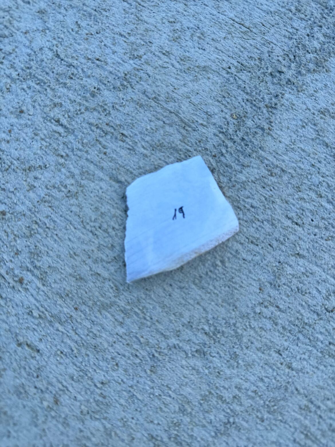 Paper in my blackberry container?? Paper in my blackberry container??