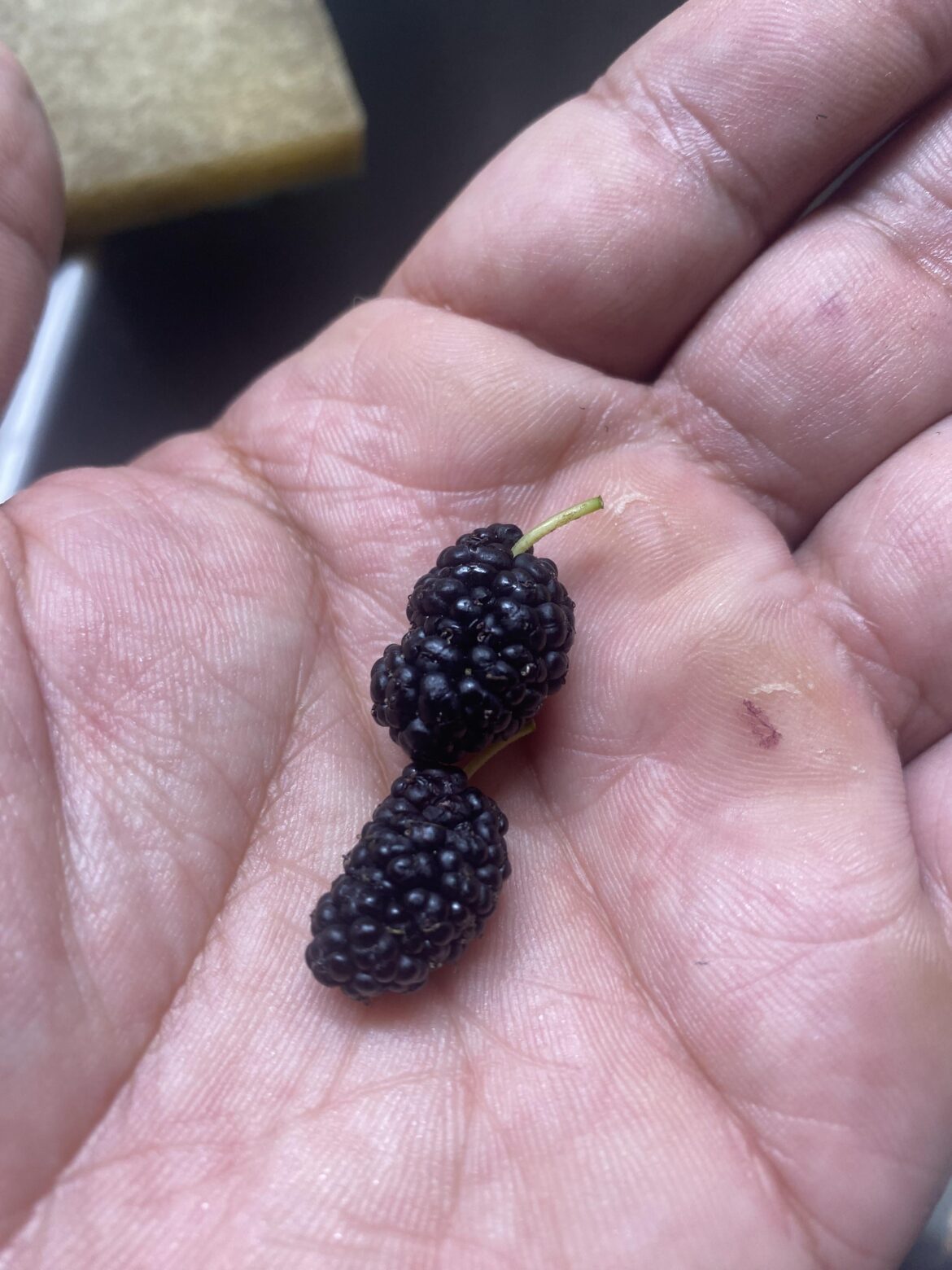 What are these