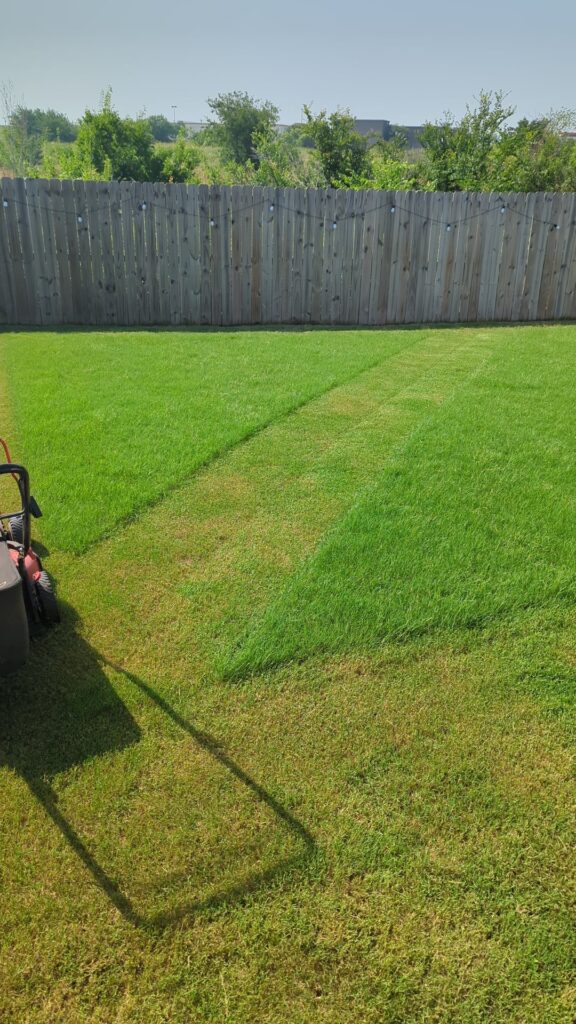 Love this time of the year...