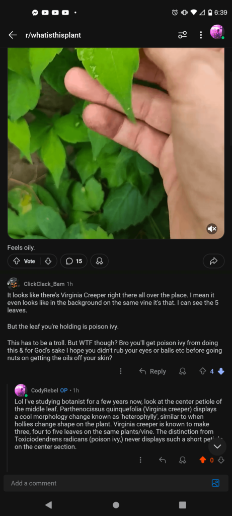 No botanical discussion on r/whatisthisplant. Really odd how upset everyone's gotten.